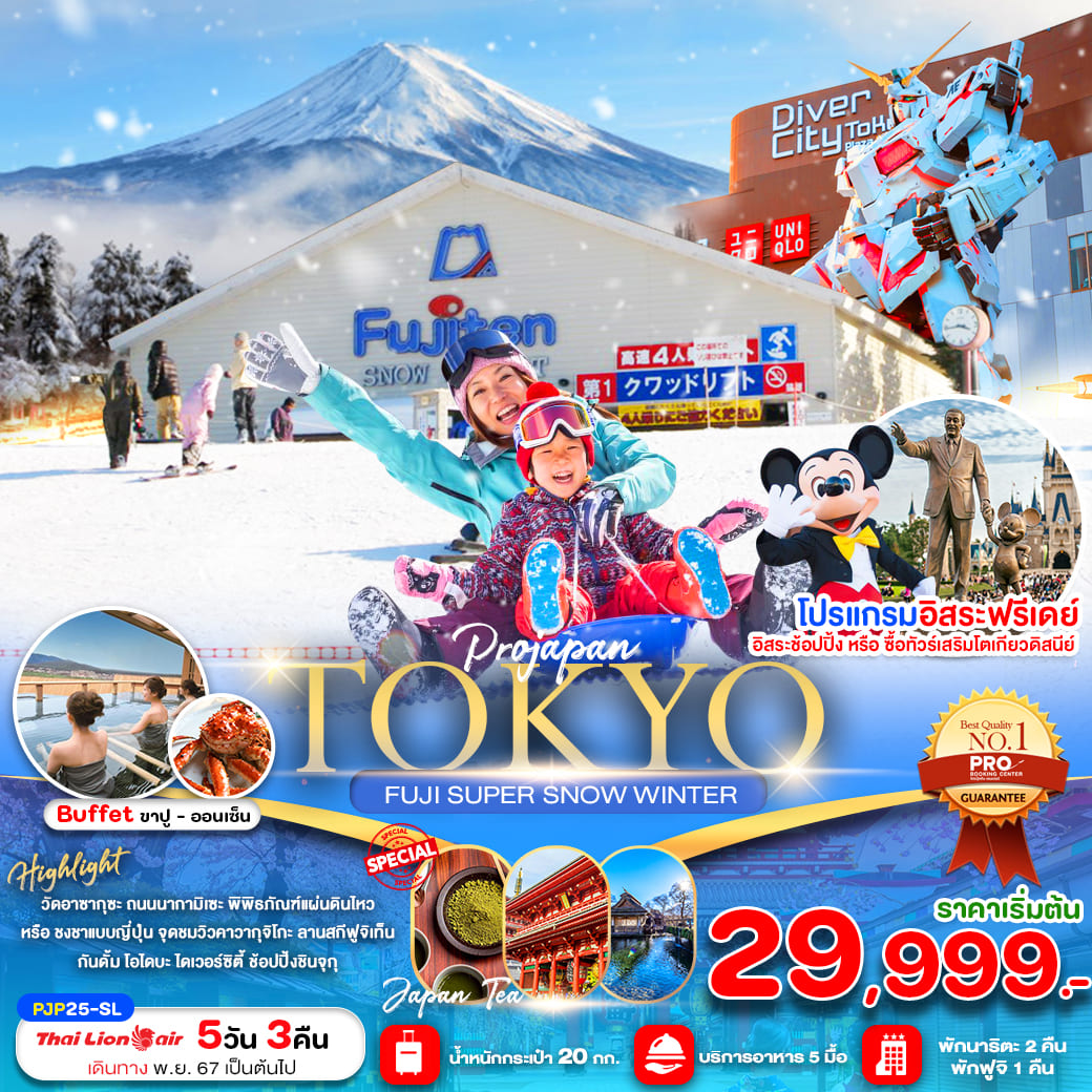 ทัวร์ญี่ปุ่น TOKYO FUJI SUPER SNOW WINTER 5วัน 3คืน (SL)